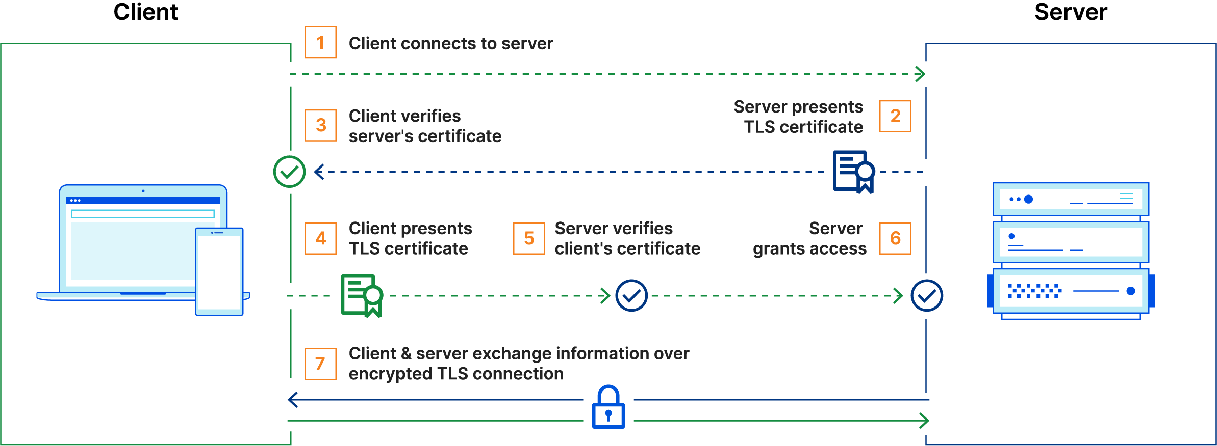 Mutual TLS Process